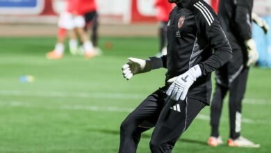 الدوري المصري